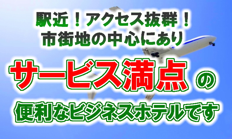 蒲田イン ソーシャル 羽田空港無料送迎 Jr蒲田駅から3分 京急蒲田駅から7分のシティーホテル